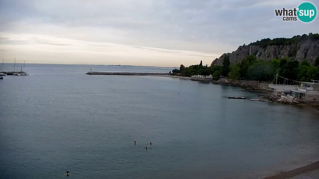 Webcam Sistiana Baia – Live View of the Marina and Gulf