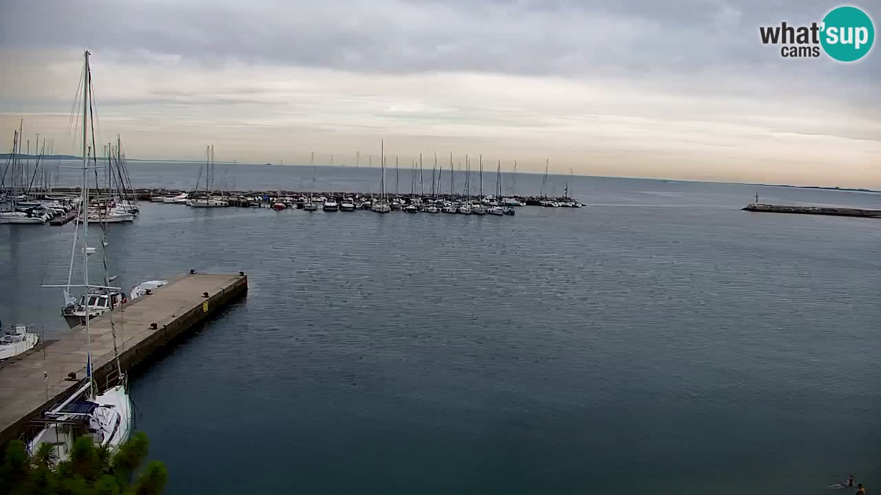 Webcam Bahía de Sistiana – Vista en directo del puerto deportivo y la costa