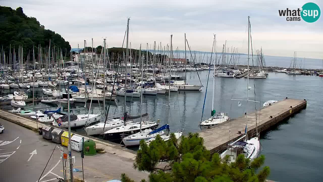 Web kamera Sistiana Uvala – Pogled uživo na marinu i zaljev
