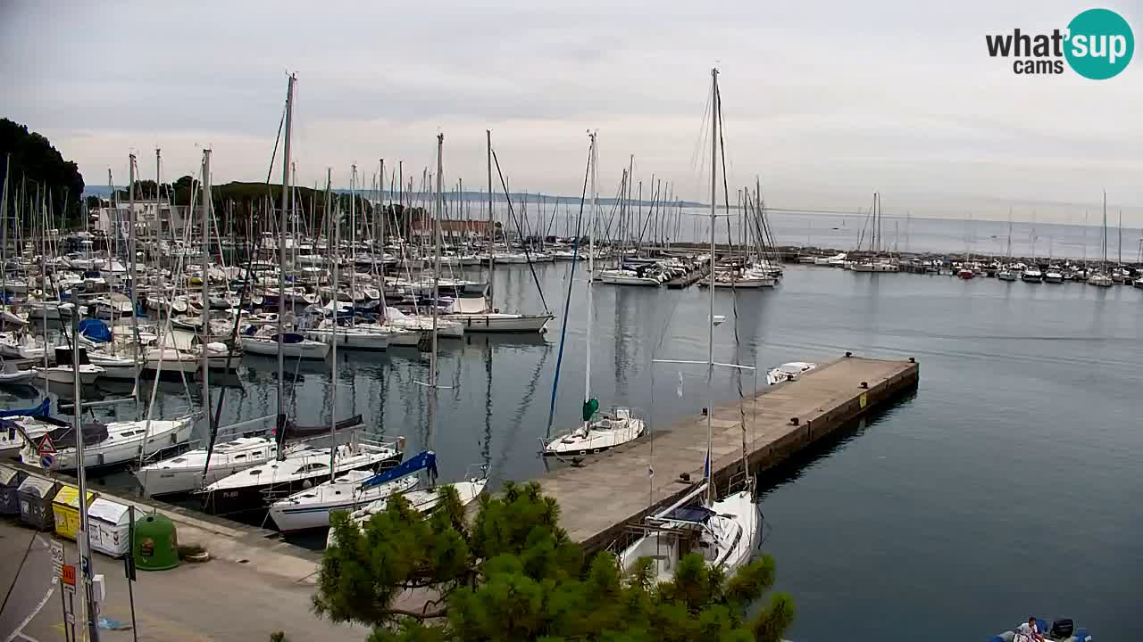 Webcam Baia di Sistiana – Marina e Golfo in diretta