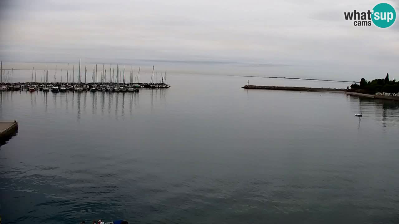 Webcam Baie de Sistiana – Vue en direct de la marina et de la baie