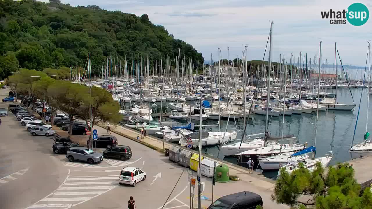 Webcam Sistiana Baia – Live View of the Marina and Gulf