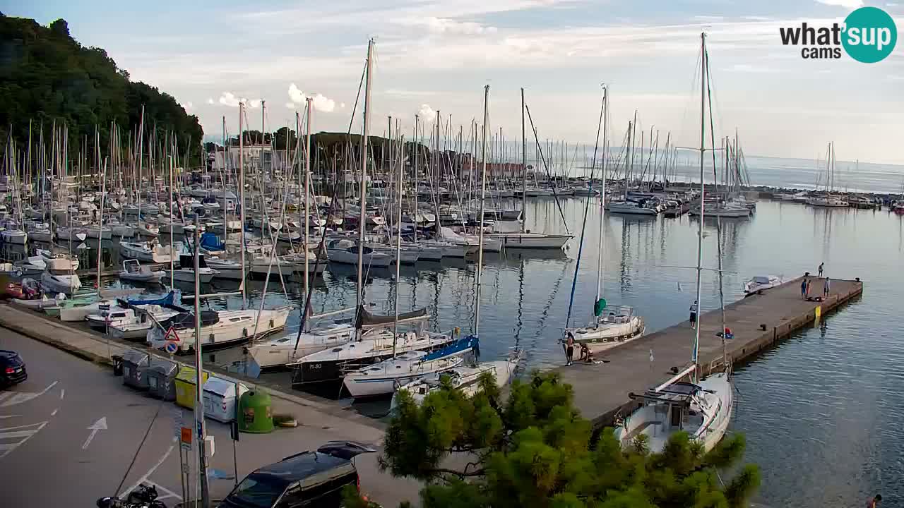 Webcam Sistiana Baia – Live View of the Marina and Gulf