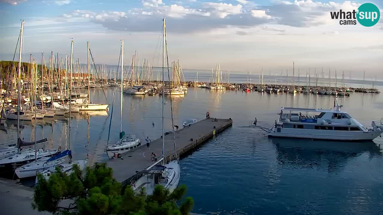 Webcam Sistiana Baia – Live View of the Marina and Gulf