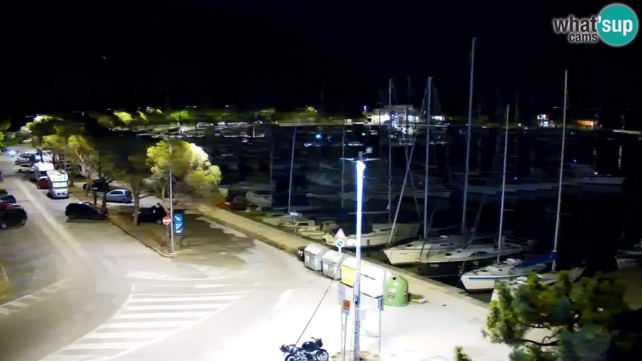 Webcam Bahía de Sistiana – Vista en directo del puerto deportivo y la costa