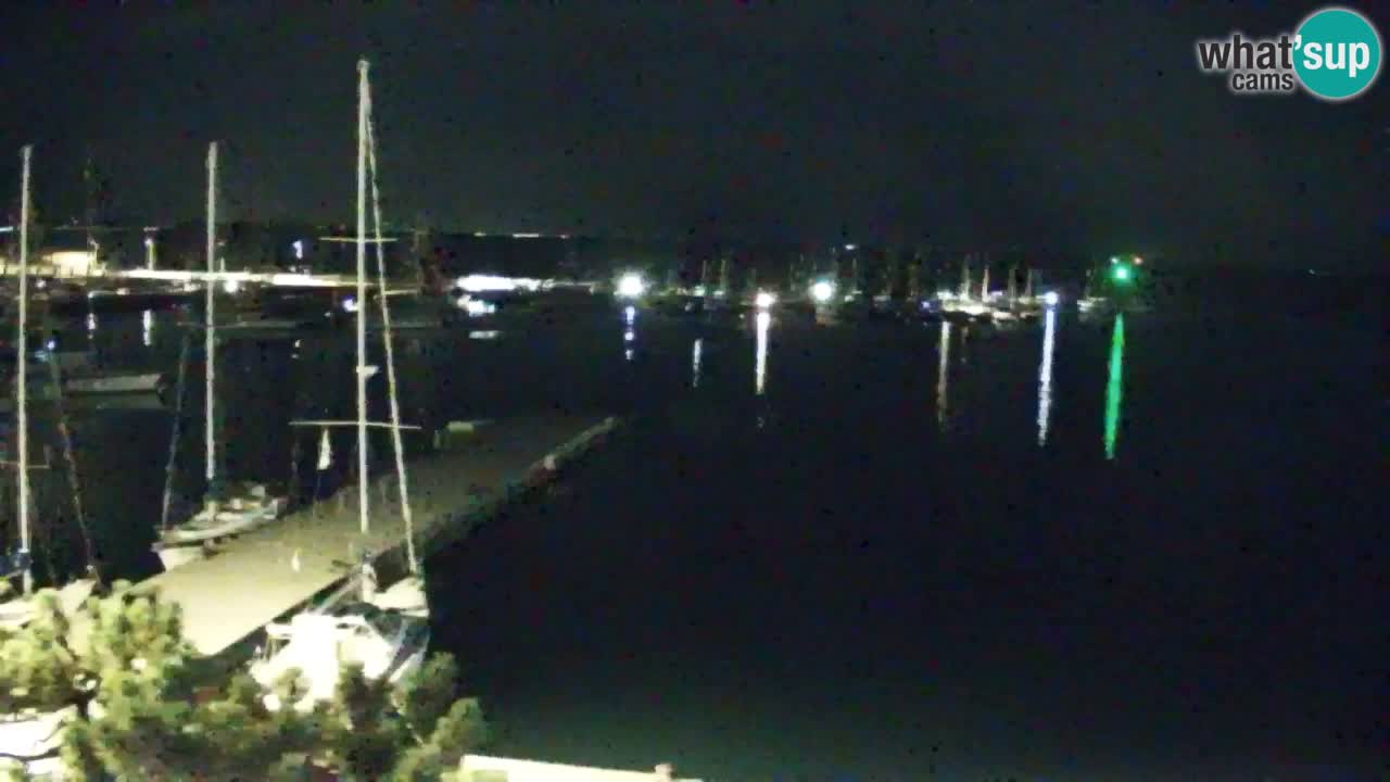 Webcam Sistiana Baia – Live View of the Marina and Gulf