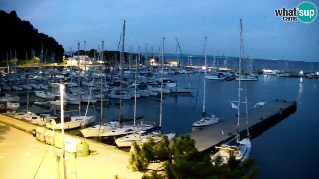 Webcam Baie de Sistiana – Vue en direct de la marina et de la baie