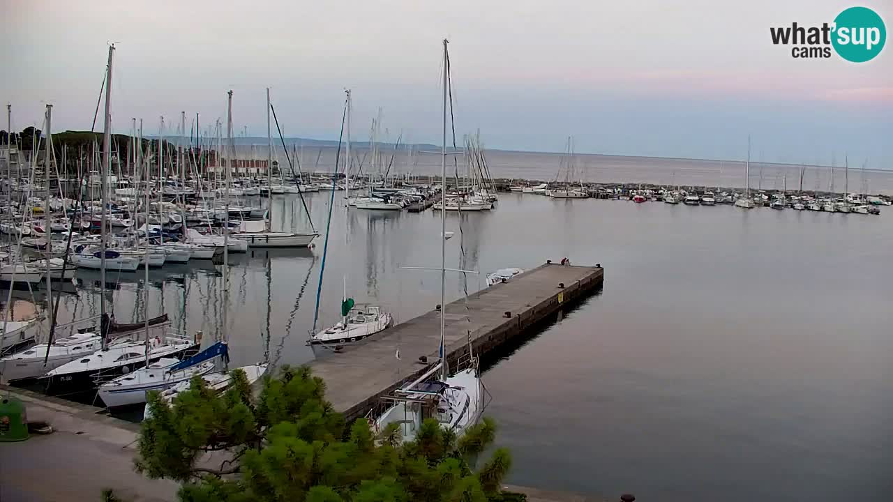 Webcam Sistiana Baia – Live View of the Marina and Gulf
