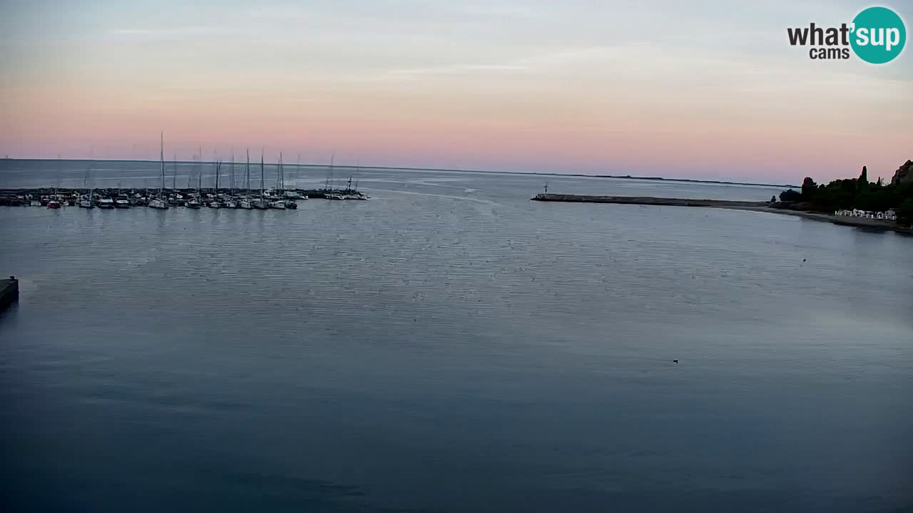 Webcam Bahía de Sistiana – Vista en directo del puerto deportivo y la costa
