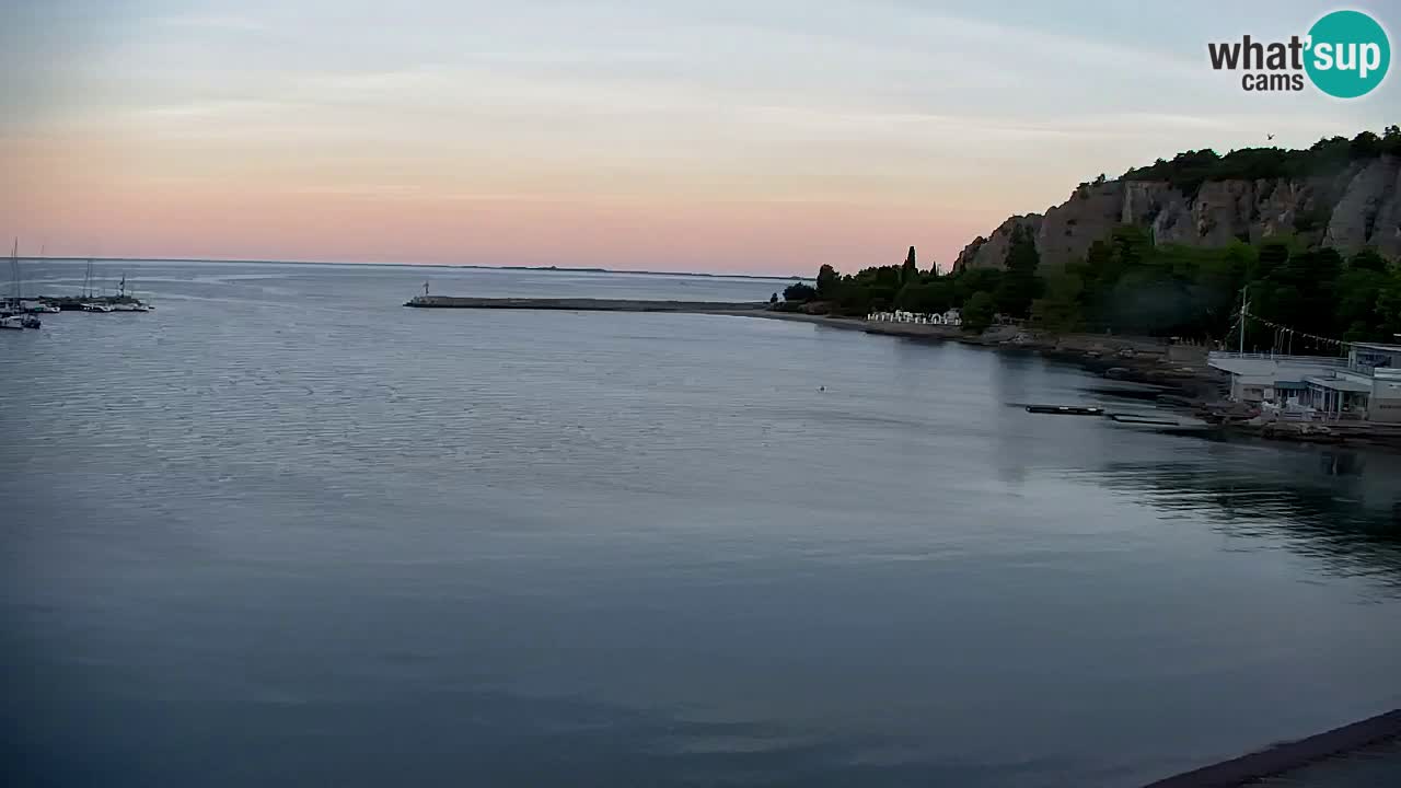 Webcam Sistiana Baia – Live View of the Marina and Gulf