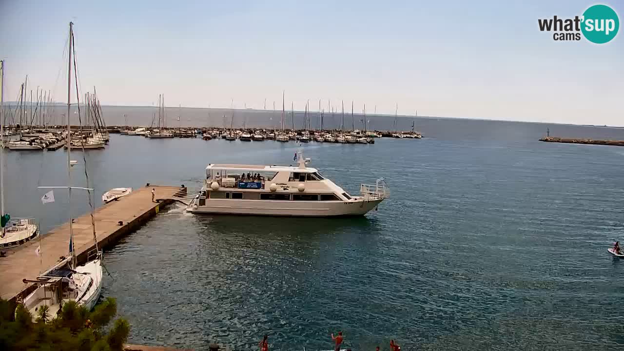 Webcam Baia di Sistiana – Marina e Golfo in diretta