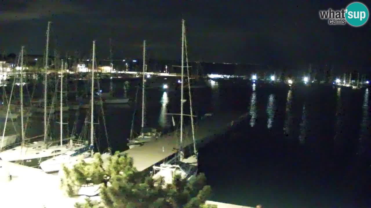 Webcam Sistiana Baia – Live View of the Marina and Gulf