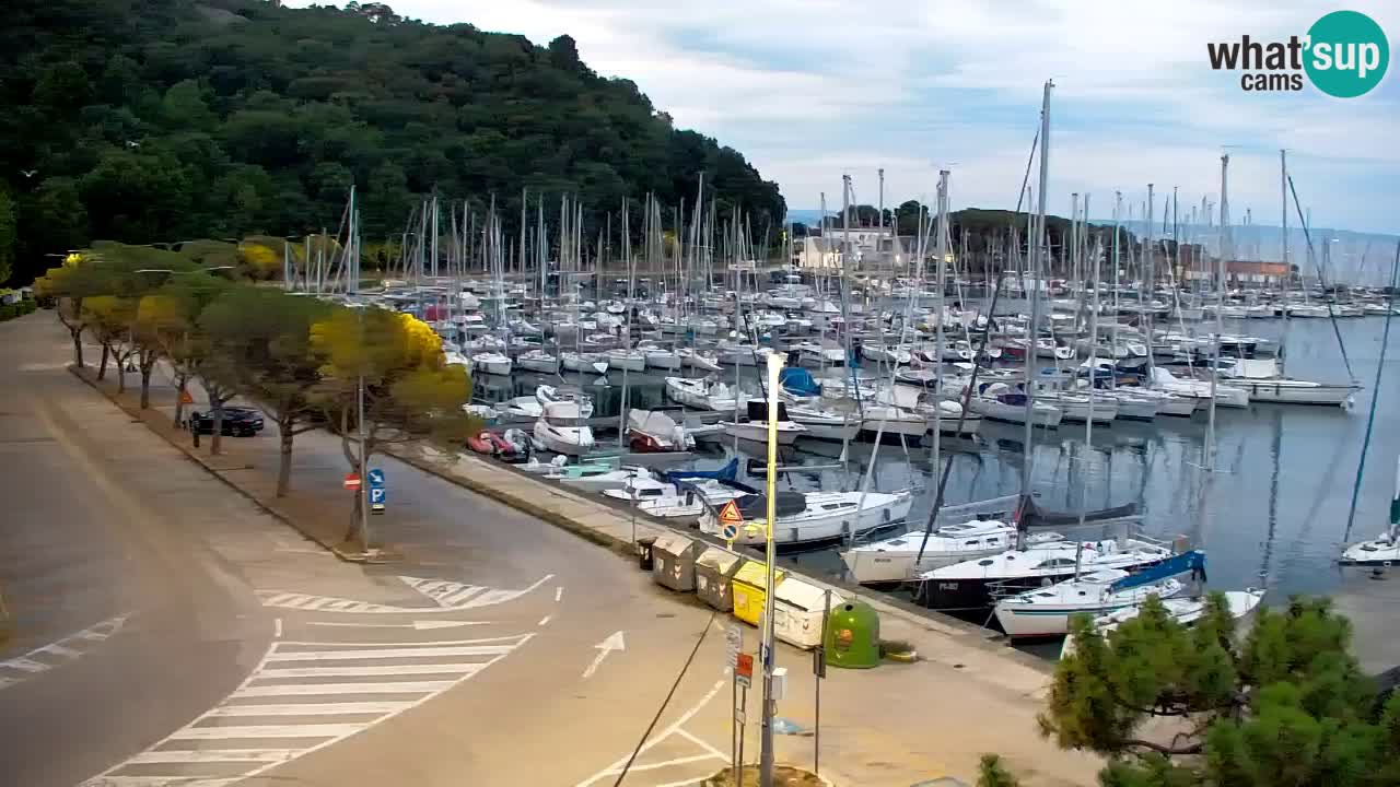 Webcam Sistiana Baia – Live View of the Marina and Gulf