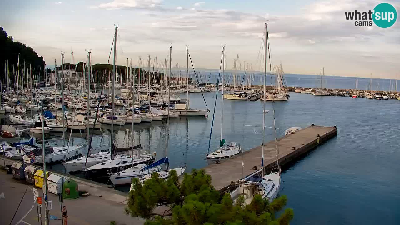 Webcam Sistiana Baia – Live View of the Marina and Gulf