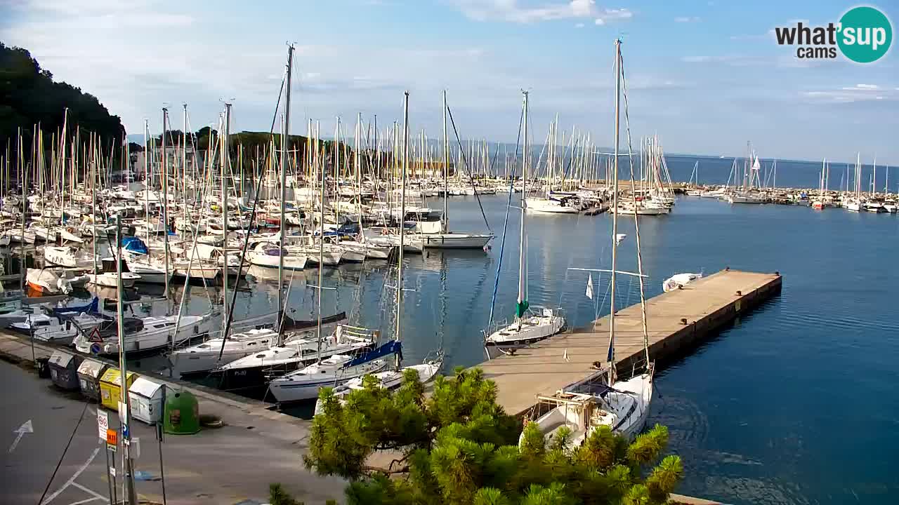 Spletna kamera Sesljanski zaliv – Pogled v živo na marino in zaliv