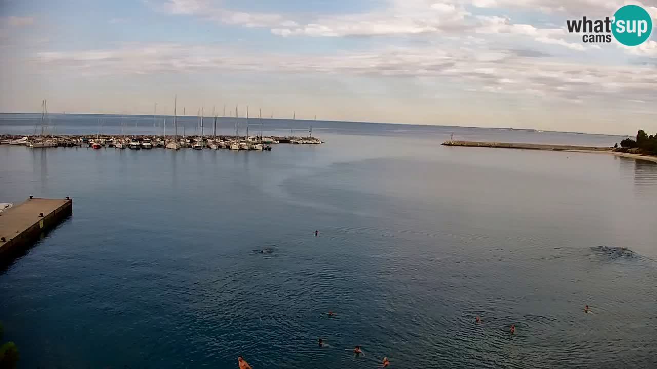 Webcam Sistiana Bucht – Liveblick auf Marina und Bucht