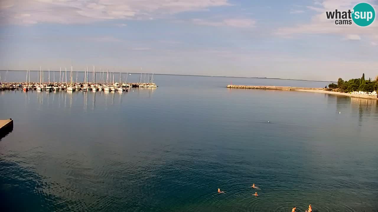 Spletna kamera Sesljanski zaliv – Pogled v živo na marino in zaliv