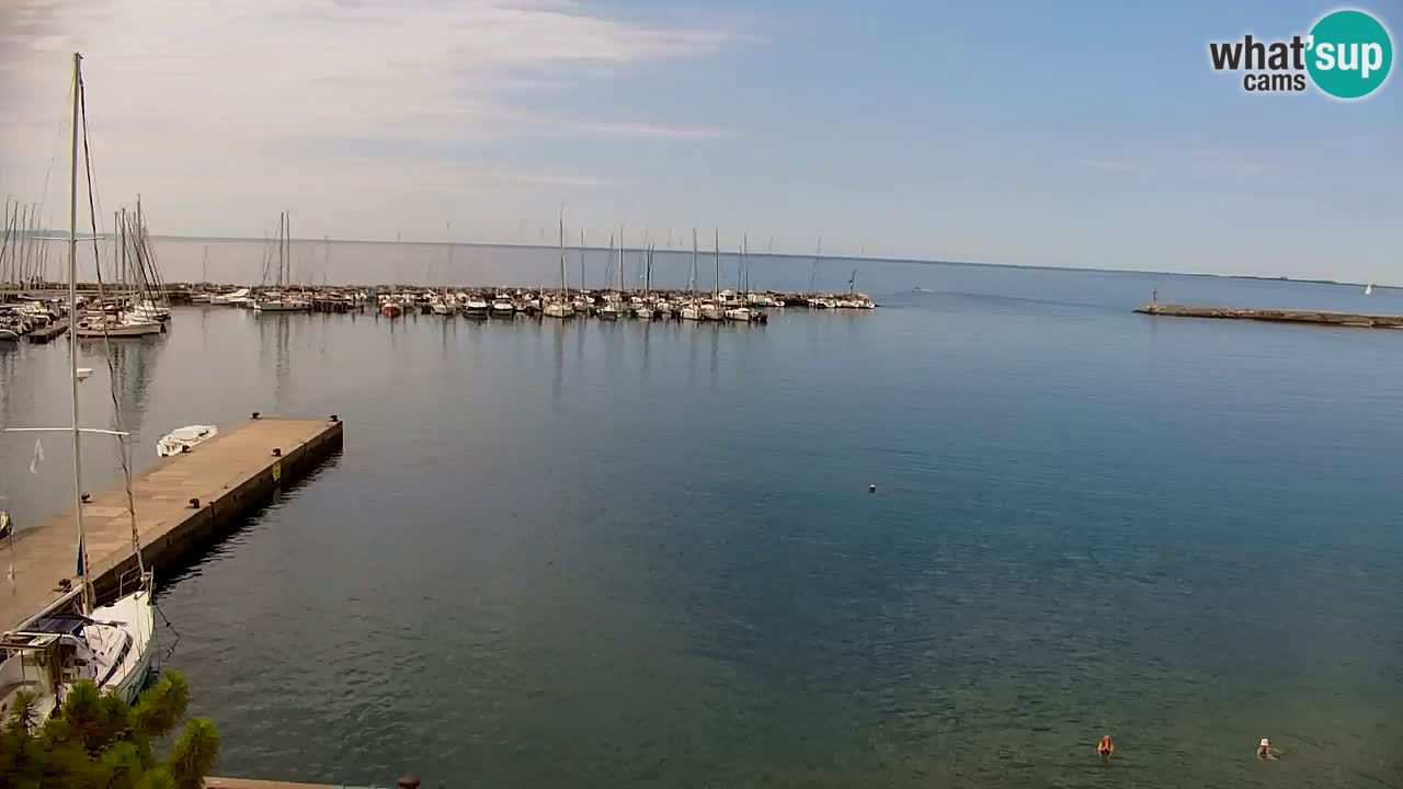 Webcam Bahía de Sistiana – Vista en directo del puerto deportivo y la costa
