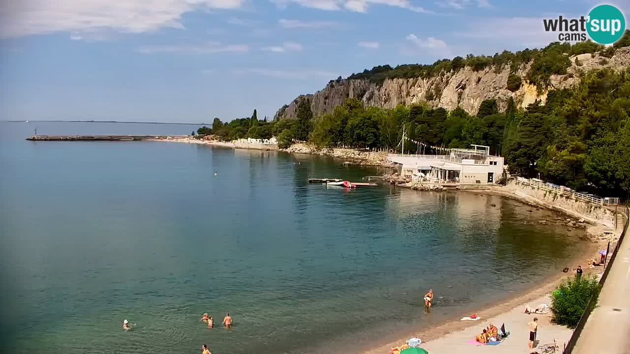 Spletna kamera Sesljanski zaliv – Pogled v živo na marino in zaliv