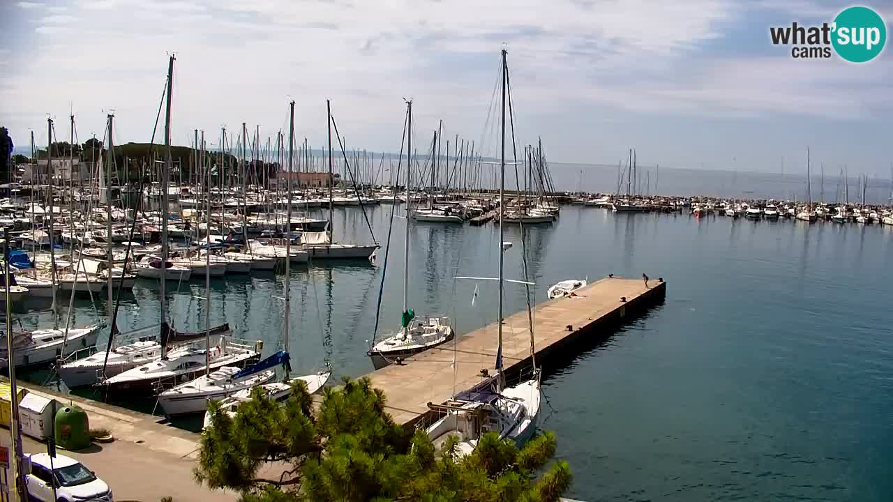 Webcam Bahía de Sistiana – Vista en directo del puerto deportivo y la costa