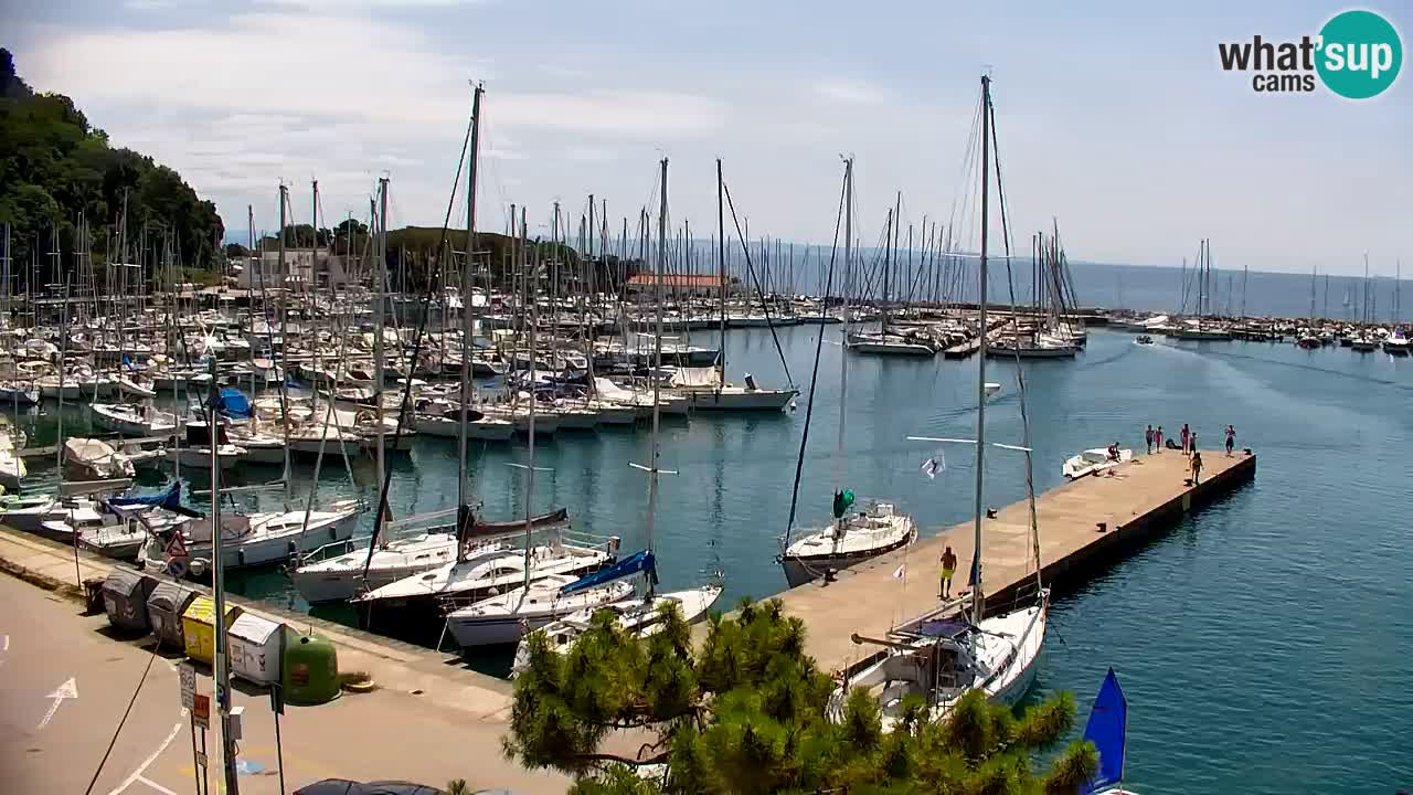 Spletna kamera Sesljanski zaliv – Pogled v živo na marino in zaliv