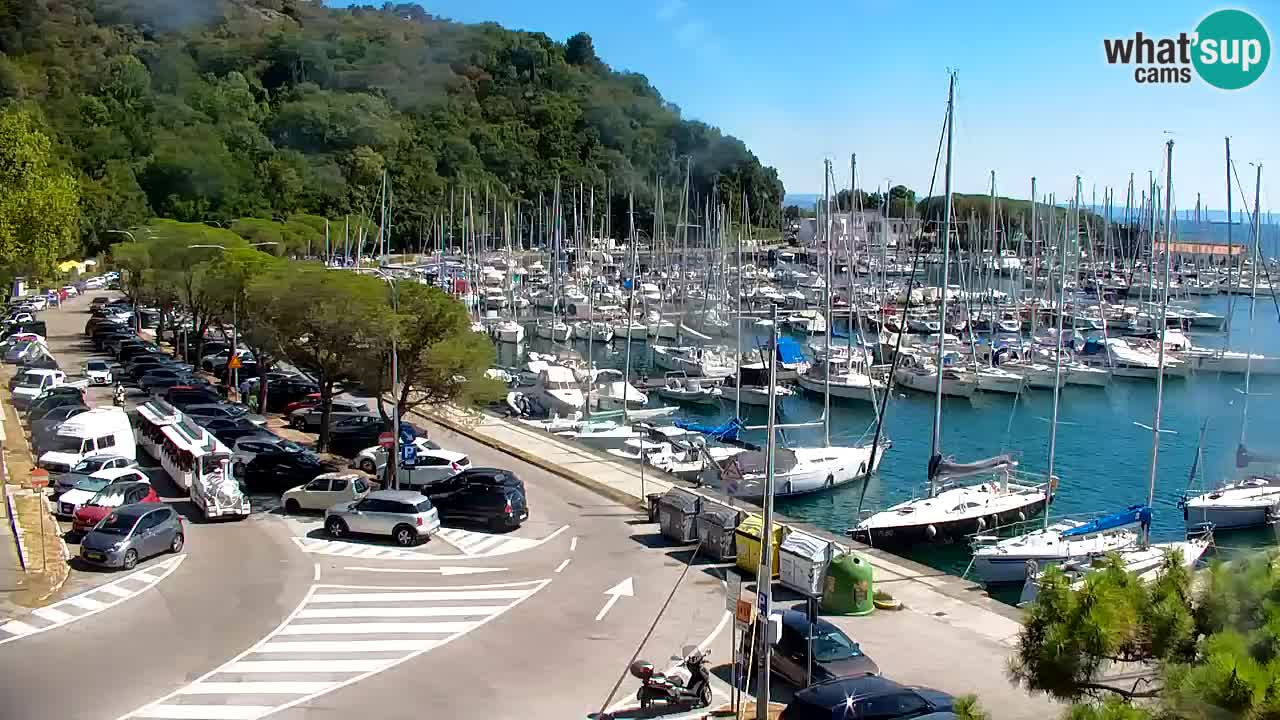 Webcam Sistiana Baia – Live View of the Marina and Gulf