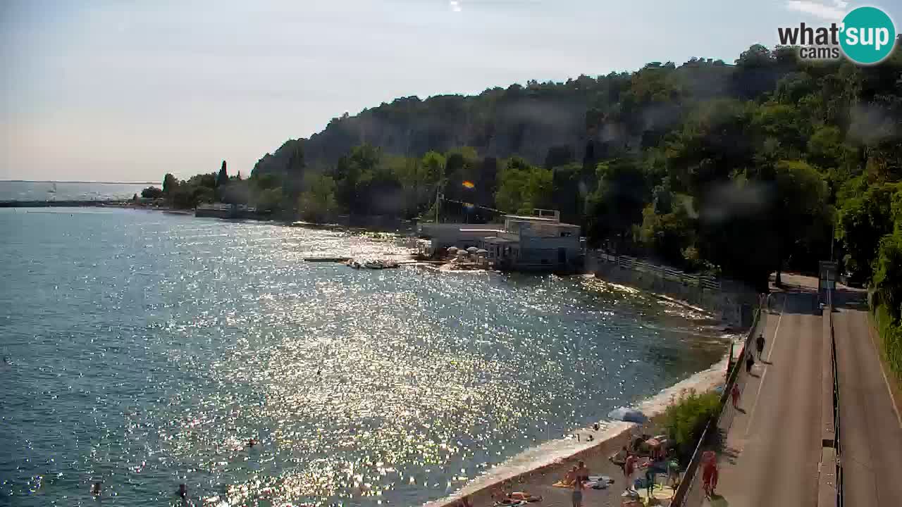 Webcam Sistiana Baia – Live View of the Marina and Gulf