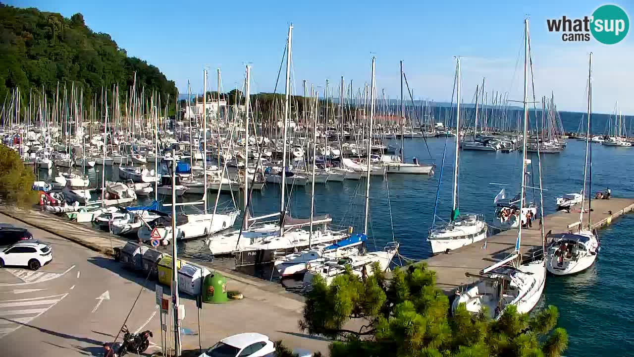 Webcam Sistiana Baia – Live View of the Marina and Gulf