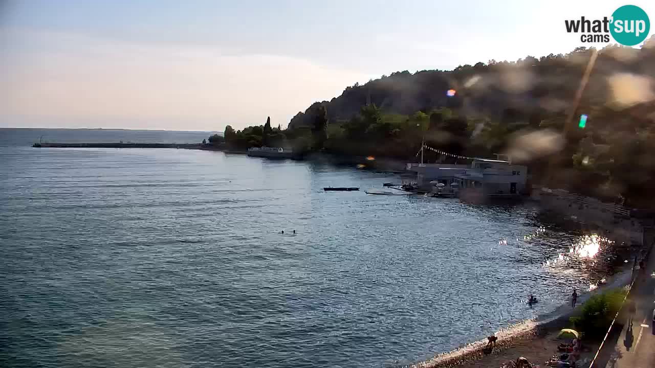Webcam Sistiana Baia – Live View of the Marina and Gulf