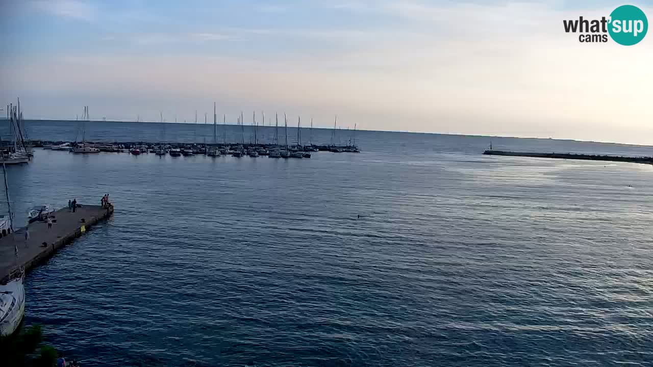 Webcam Sistiana Baia – Live View of the Marina and Gulf
