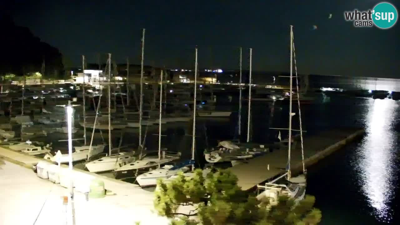 Spletna kamera Sesljanski zaliv – Pogled v živo na marino in zaliv