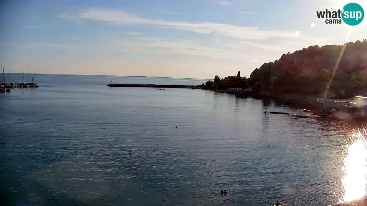 Webcam Sistiana Baia – Live View of the Marina and Gulf
