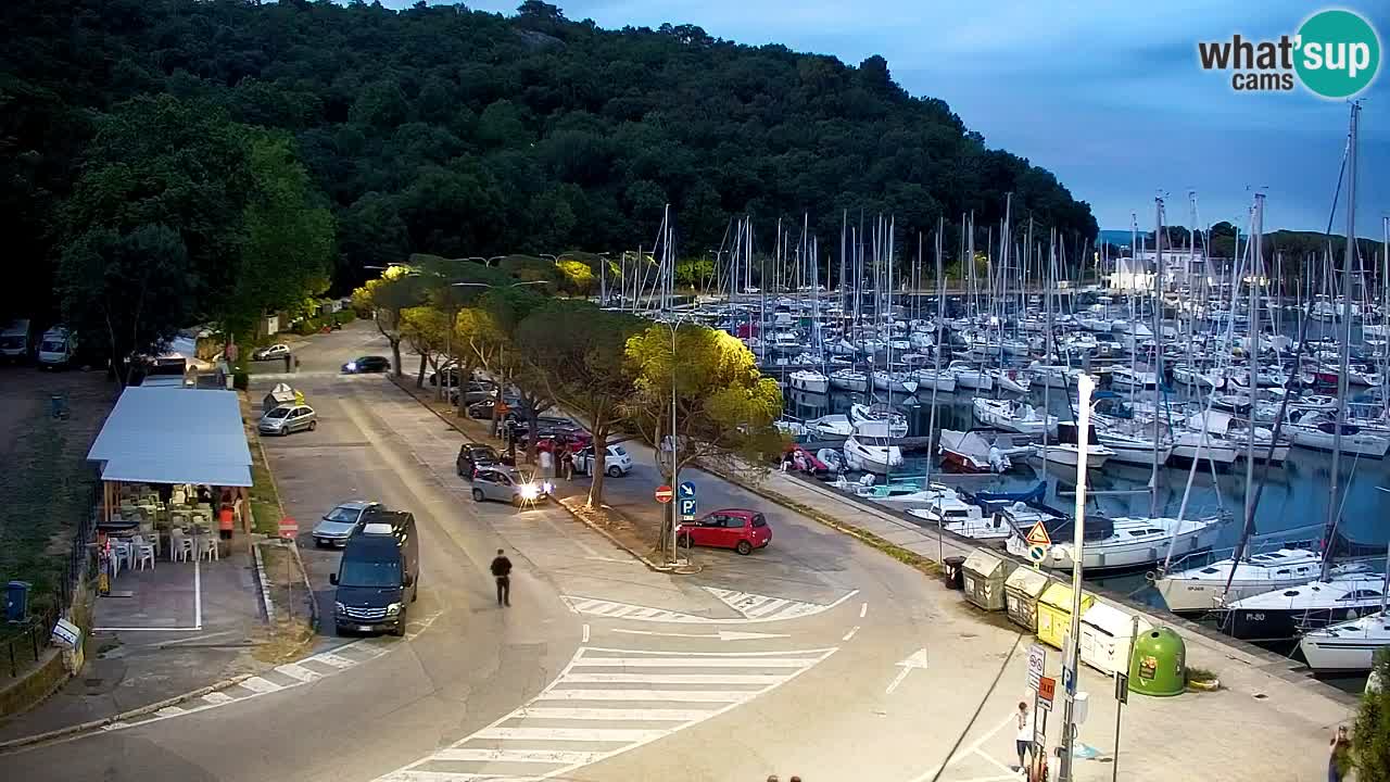 Webcam Sistiana Baia – Live View of the Marina and Gulf