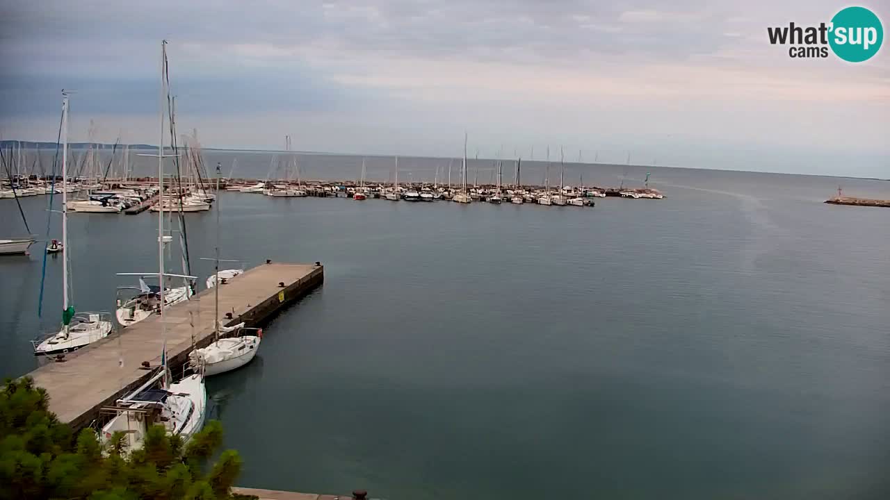 Webcam Bahía de Sistiana – Vista en directo del puerto deportivo y la costa