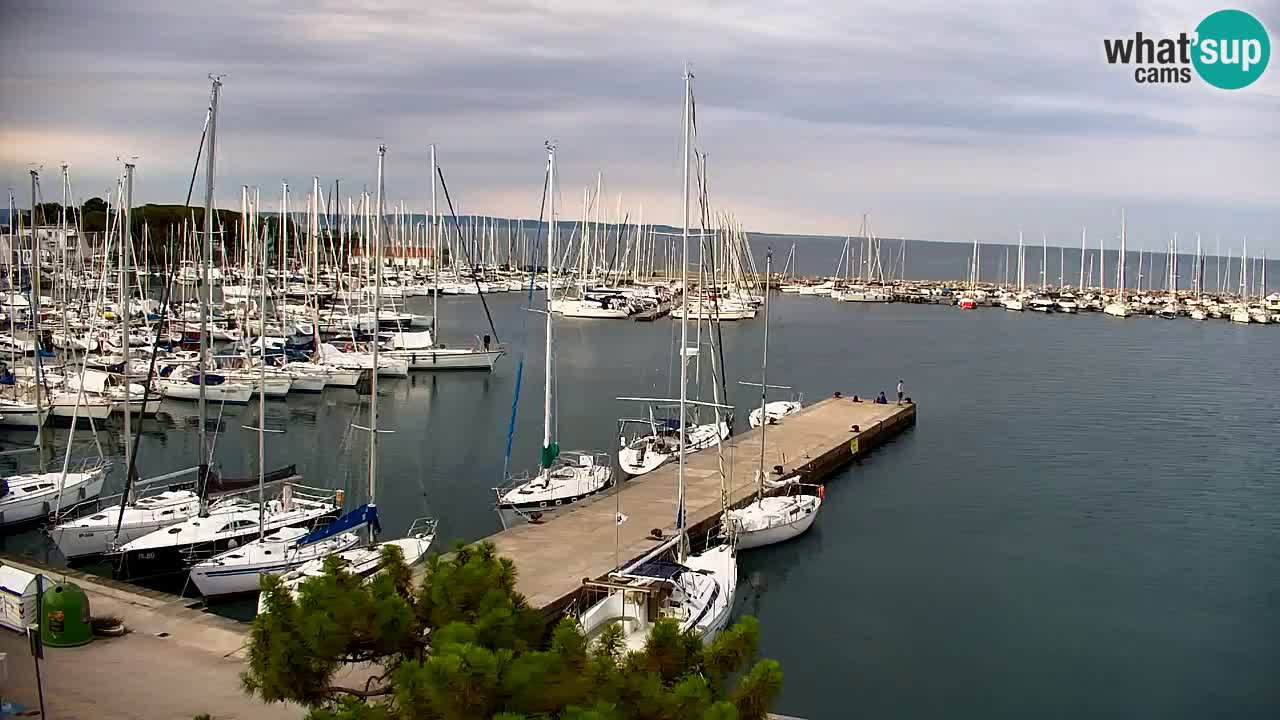 Webcam Sistiana Baia – Live View of the Marina and Gulf