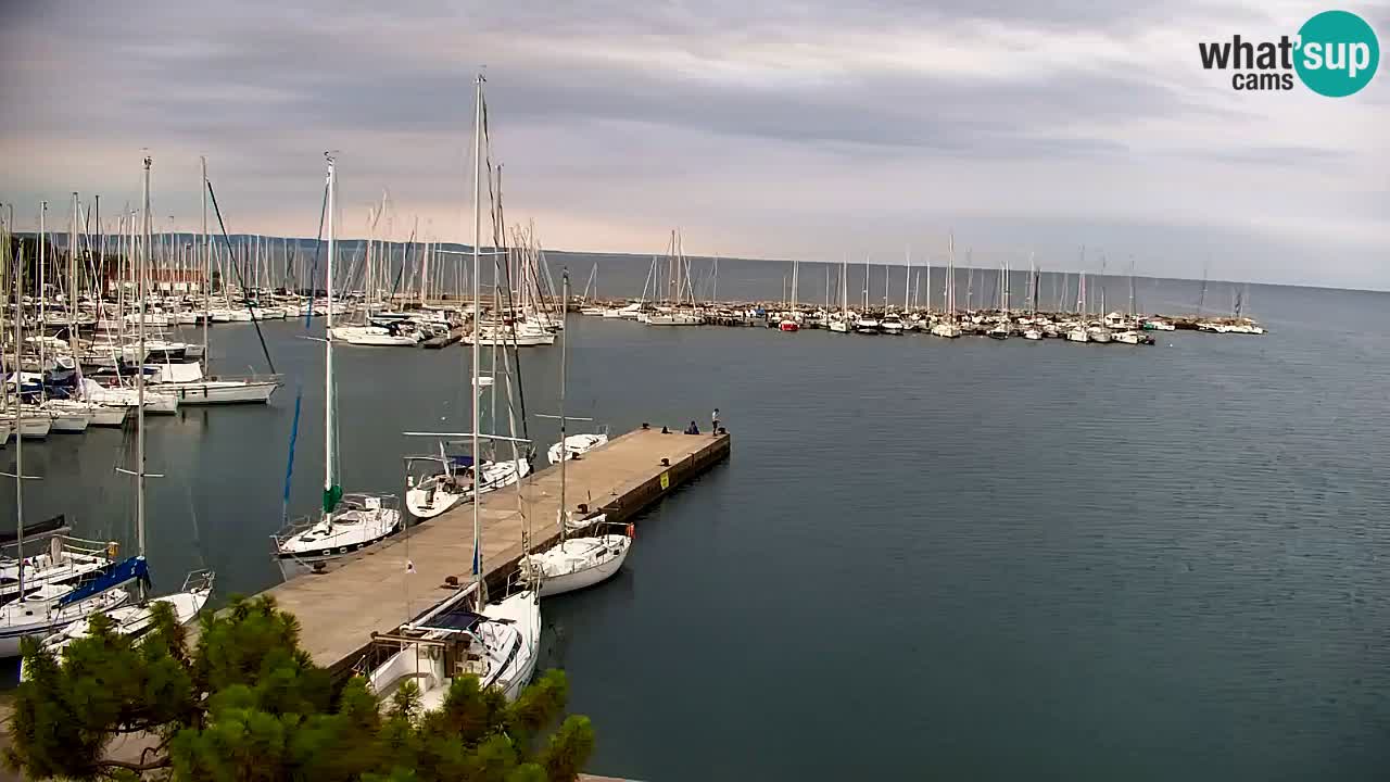 Webcam Baie de Sistiana – Vue en direct de la marina et de la baie