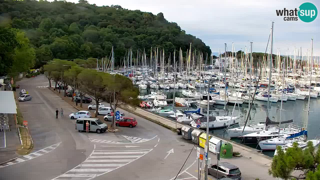 Webcam Sistiana Baia – Live View of the Marina and Gulf