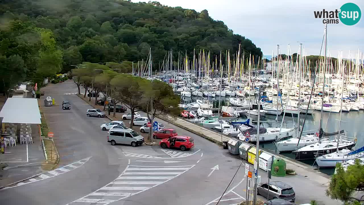 Spletna kamera Sesljanski zaliv – Pogled v živo na marino in zaliv
