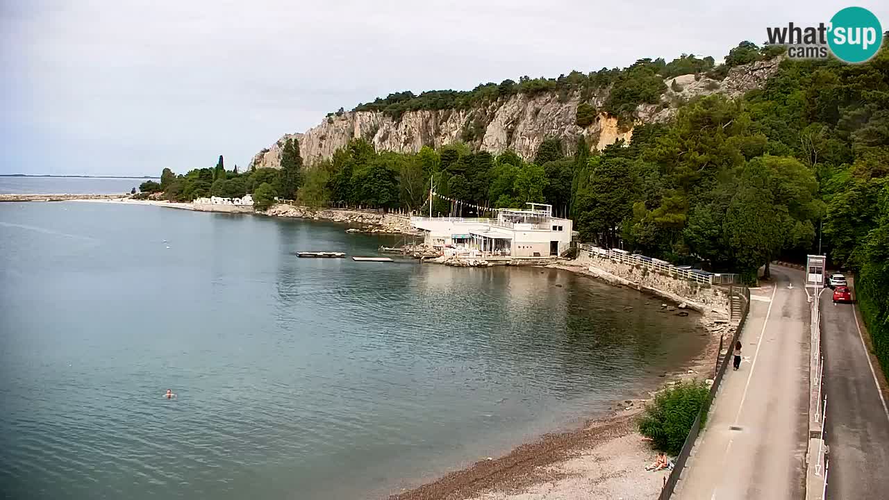 Webcam Sistiana Baia – Live View of the Marina and Gulf