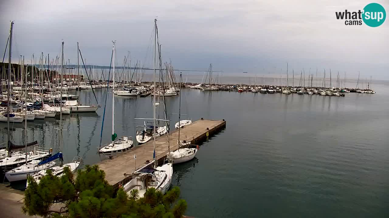 Spletna kamera Sesljanski zaliv – Pogled v živo na marino in zaliv