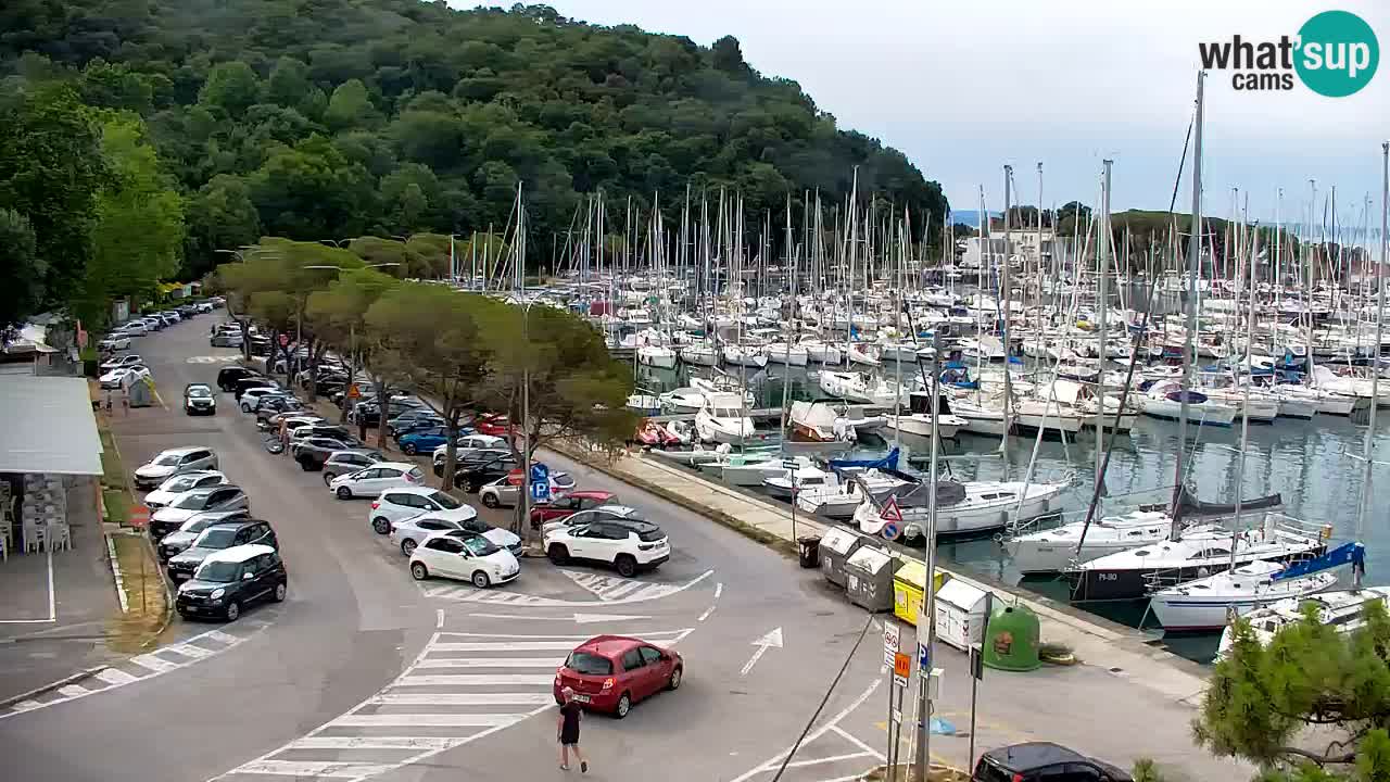 Webcam Bahía de Sistiana – Vista en directo del puerto deportivo y la costa