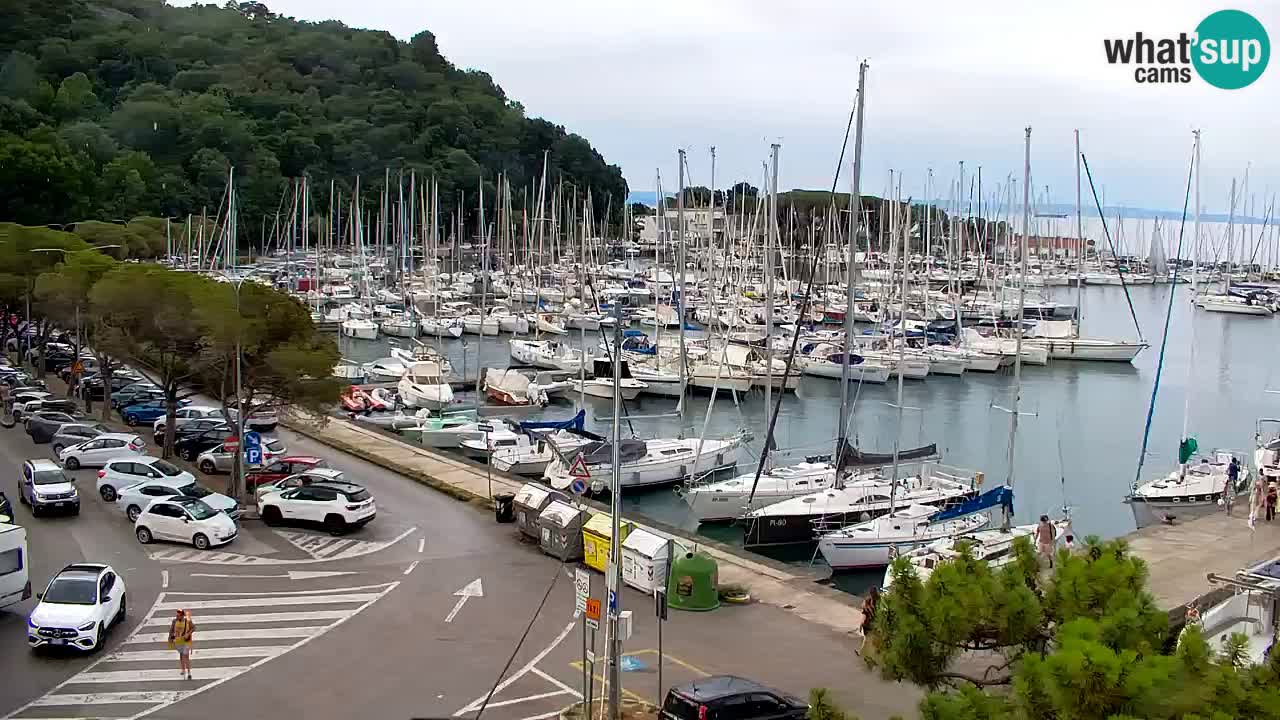 Webcam Sistiana Baia – Live View of the Marina and Gulf