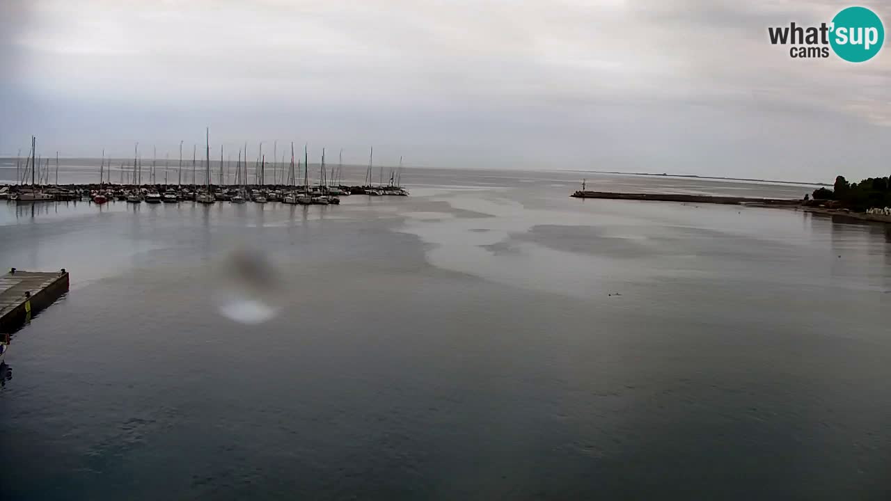 Webcam Sistiana Baia – Live View of the Marina and Gulf
