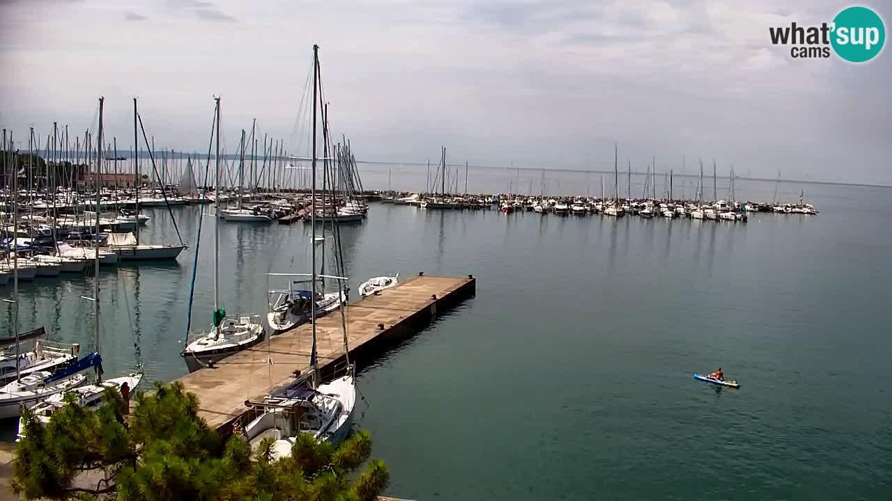 Spletna kamera Sesljanski zaliv – Pogled v živo na marino in zaliv