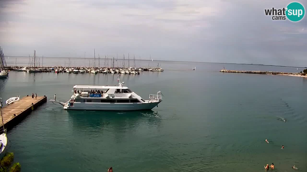 Webcam Bahía de Sistiana – Vista en directo del puerto deportivo y la costa