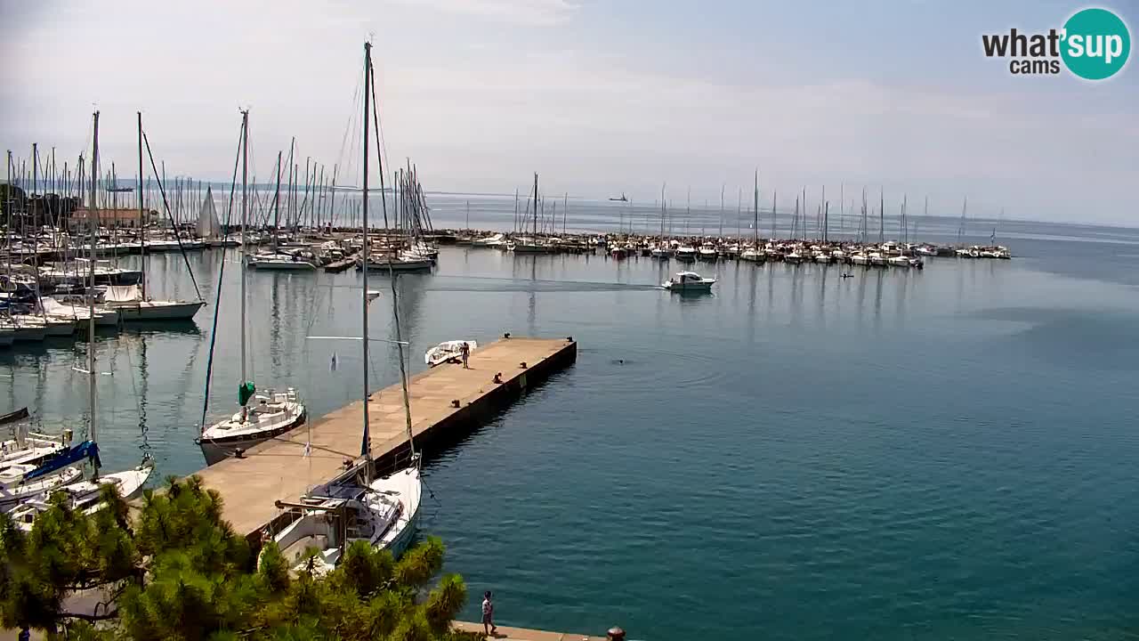 Web kamera Sistiana Uvala – Pogled uživo na marinu i zaljev