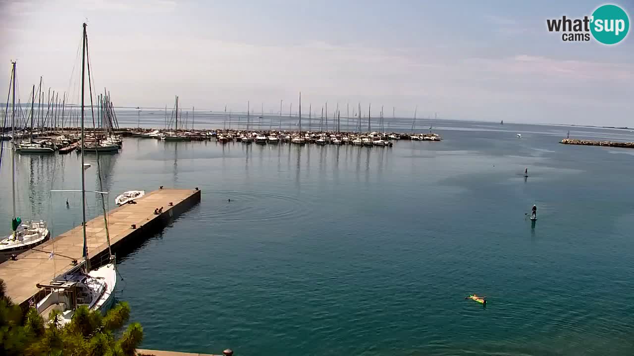 Webcam Sistiana Bucht – Liveblick auf Marina und Bucht