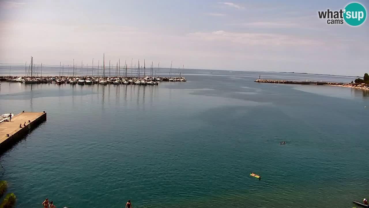 Webcam Sistiana Baia – Live View of the Marina and Gulf