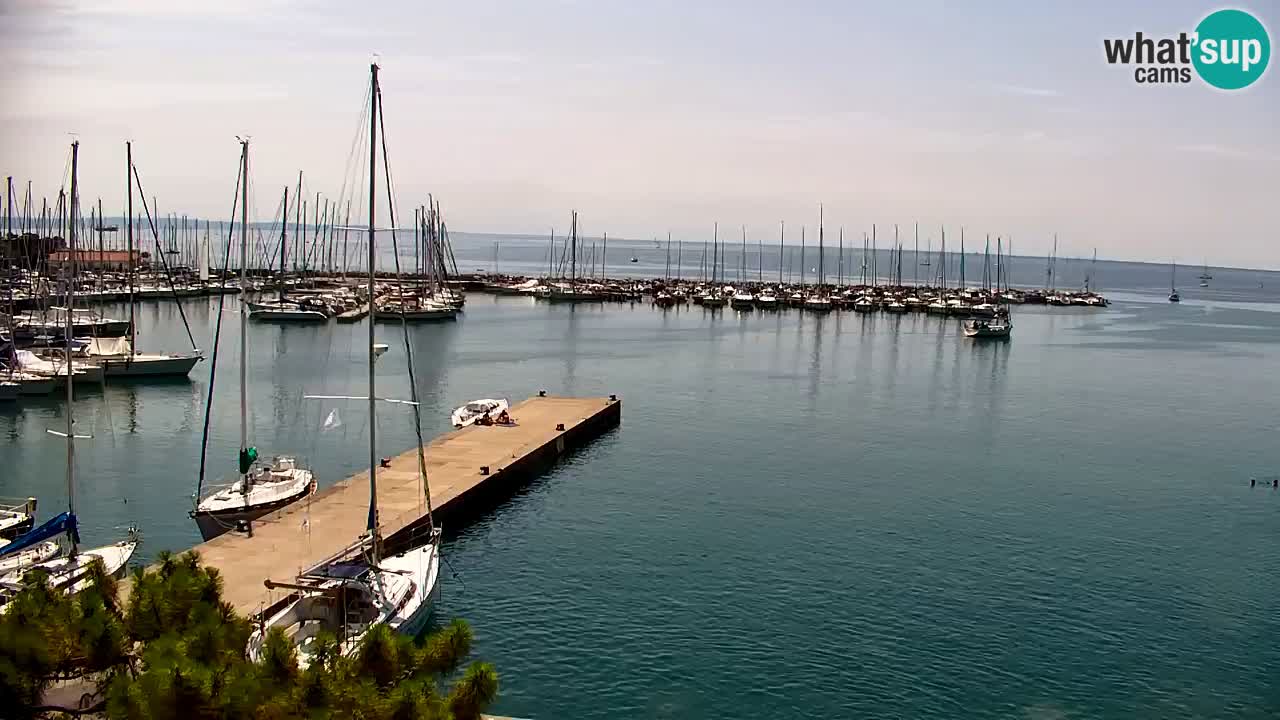 Webcam Baie de Sistiana – Vue en direct de la marina et de la baie