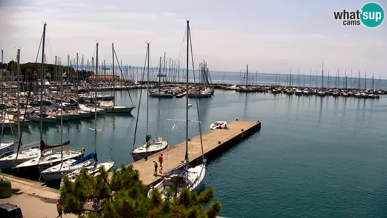 Spletna kamera Sesljanski zaliv – Pogled v živo na marino in zaliv